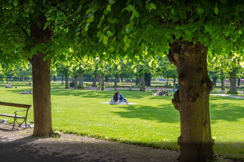 botanischer Garten