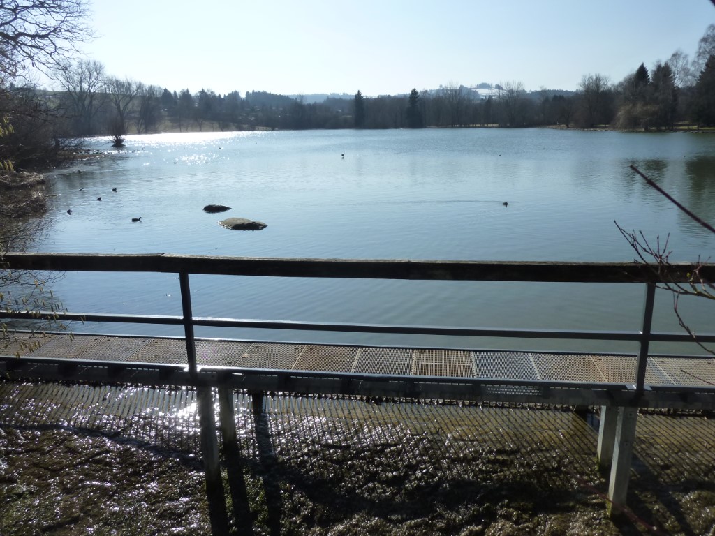 Stadtweiher